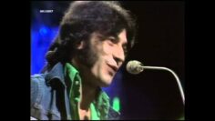 Albert Hammond – It Never Rains In Southern California (1973) HD 0815007