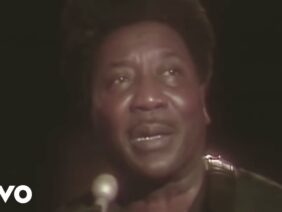Muddy Waters – Hoochie Coochie Man (Live)