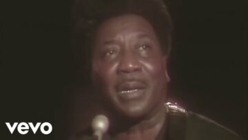 Muddy Waters – Hoochie Coochie Man (Live)