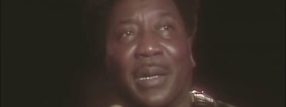 Muddy Waters – Hoochie Coochie Man (Live)