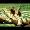 Paul & Linda McCartney – Uncle Albert  / Admiral Halsey [High Quality]