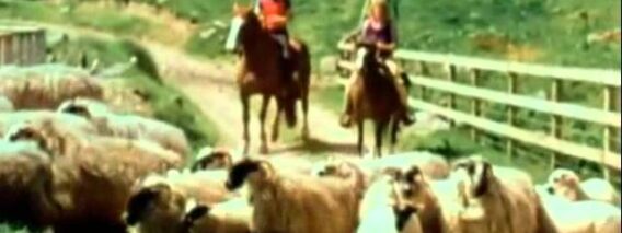 Paul & Linda McCartney – Uncle Albert  / Admiral Halsey [High Quality]