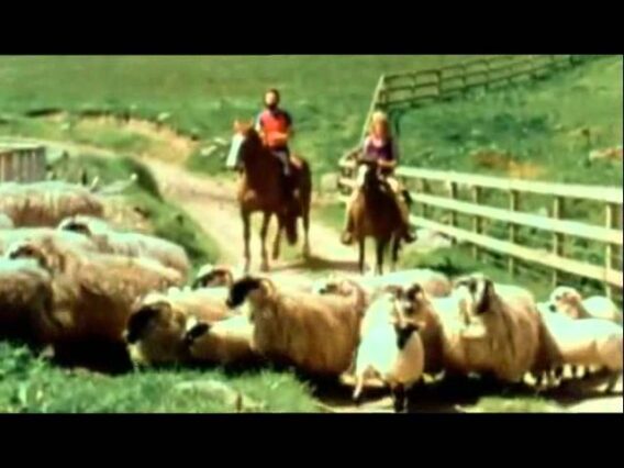 Paul & Linda McCartney – Uncle Albert  / Admiral Halsey [High Quality]