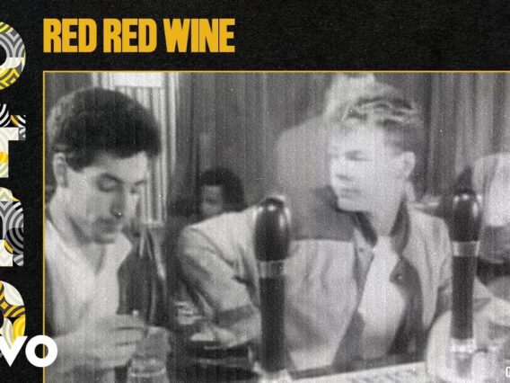 UB40 – Red Red Wine (Official Video HD Remastered)