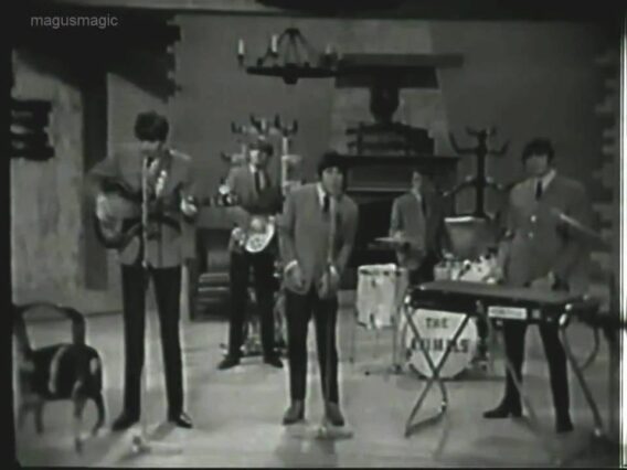 The Animals – Its My Life (Live, 1965) ♫♥