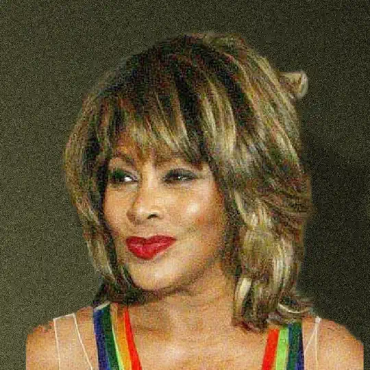 Tina Turner