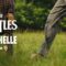 The Beatles – Michelle