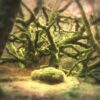 Robert Plant – Two Coats (Official Video)