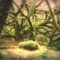 Robert Plant – Two Coats